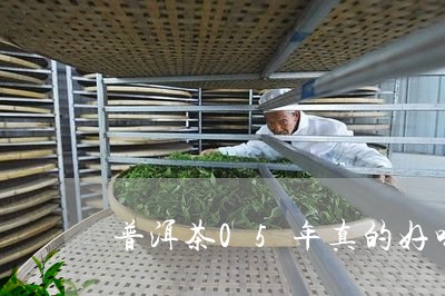 普洱茶05年真的好喝/2023100649493