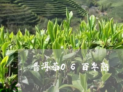 普洱茶06百年熟/2023120440736