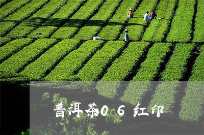 普洱茶06红印/2023082906957