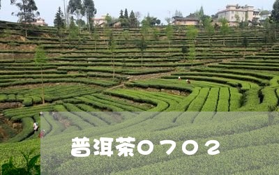 普洱茶0702/2023120389381