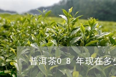 普洱茶08年现在多少钱/2023112867358