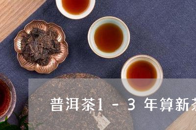 普洱茶1-3年算新茶/2023120680724