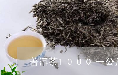 普洱茶1000一公斤/2023120680692