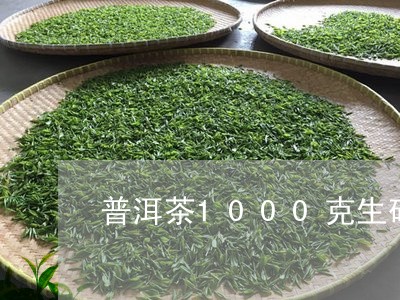 普洱茶1000克生砖/2023100672725