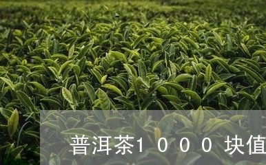 普洱茶1000块值么/2023062443515