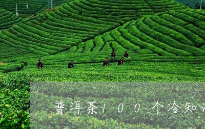 普洱茶100个冷知识/2023080173726