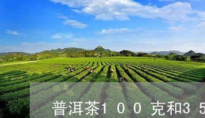 普洱茶100克和357克/2023121676137