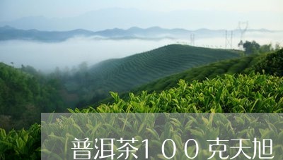 普洱茶100克天旭/2023100658250