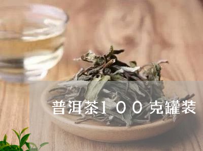 普洱茶100克罐装/2023112433914