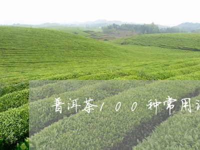 普洱茶100种常用词/2023062258280