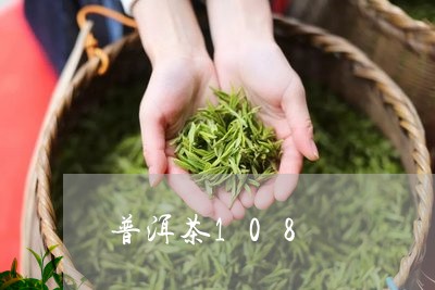 普洱茶108/2023121639262