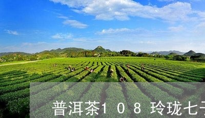 普洱茶108玲珑七子/2023062704858