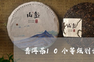 普洱茶10个等级划分/2023062581614