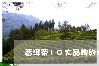 普洱茶10大品牌的排名及价格/2023082976158