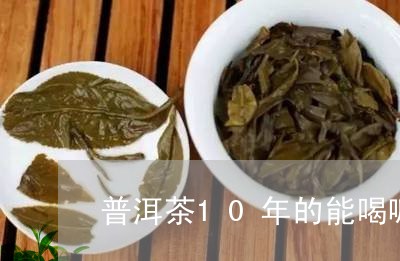 普洱茶10年的能喝嘛/2023111057251