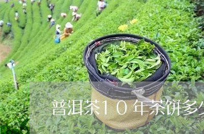 普洱茶10年茶饼多少钱/2023121624947