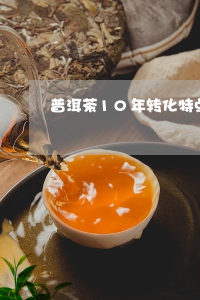 普洱茶10年转化特点/2023092873939