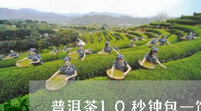 普洱茶10秒钟包一饼/2023092677403