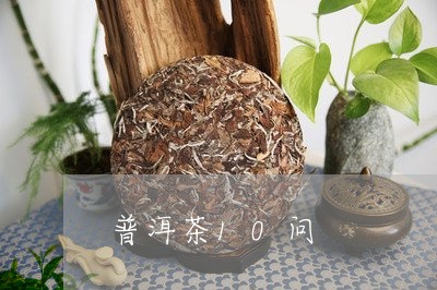 普洱茶10问/2023042778919