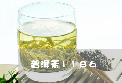 普洱茶1186/2023112629425