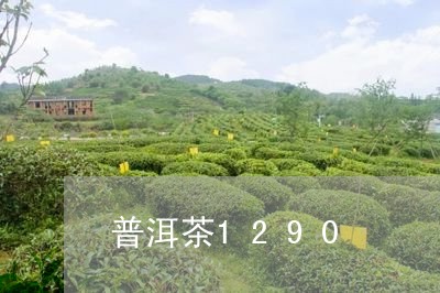 普洱茶1290/2023081895038