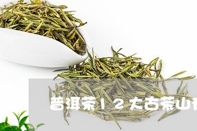 普洱茶12大古茶山有哪些/2023110271705