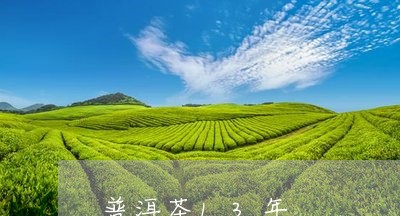 普洱茶13年/2023042725722