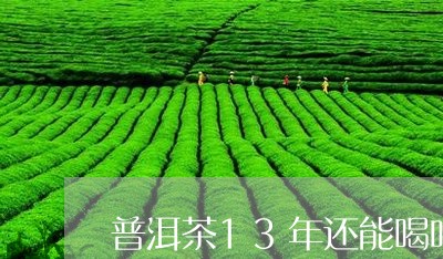 普洱茶13年还能喝吗/2023062266258