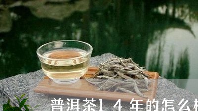 普洱茶14年的怎么样/2023072371905