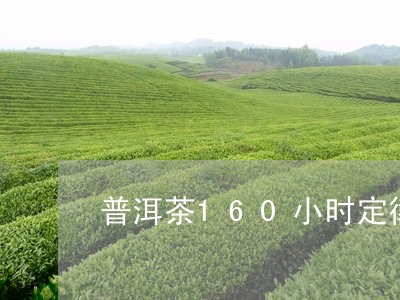 普洱茶160小时定律/2023062462837