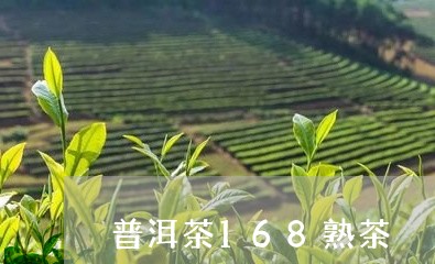 普洱茶168熟茶/2023120424837