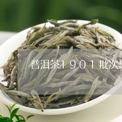 普洱茶1901批次是/2023062247491