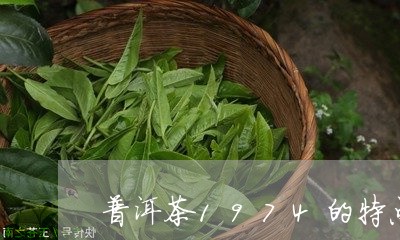 普洱茶1974的特点/2023112446058