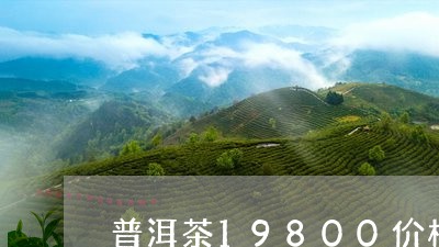 普洱茶19800价格/2023062807360