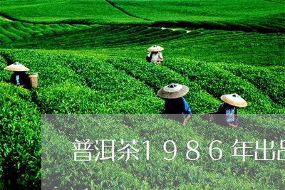 普洱茶1986年出品/2023062297371