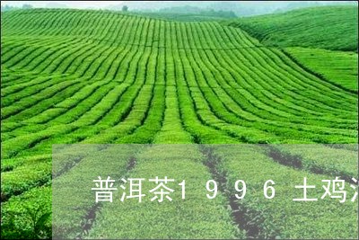 普洱茶1996土鸡沱/2023080320571