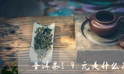 普洱茶19元是什么茶/2023100793046