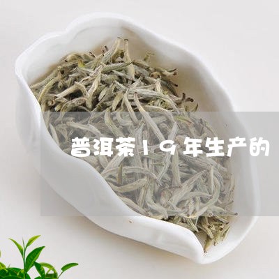 普洱茶19年生产的/2023091583717