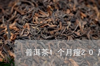 普洱茶1个月瘦20斤/2023092627169