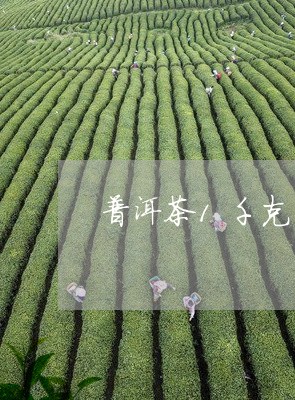 普洱茶1千克有哪种茶/2023110672594