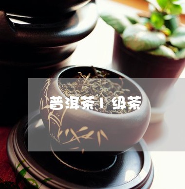 普洱茶1级茶/2023042869980