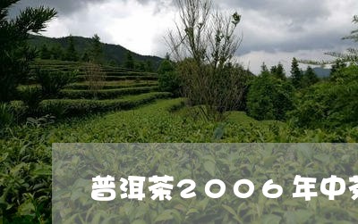 普洱茶2006年中茶/2023063029795