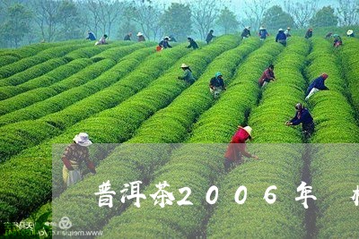 普洱茶2006年價格/2023062384038