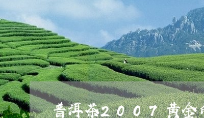 普洱茶2007黄金印/2023062851584