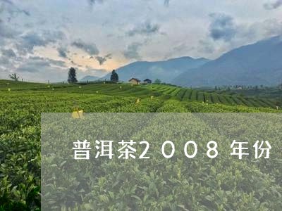 普洱茶2008年份/2023100897259