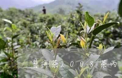 普洱茶2008茶丙/2023091490492