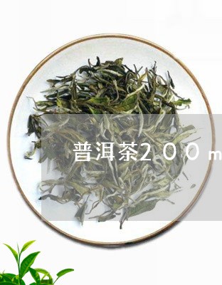 普洱茶200ml茶壶/2023100577070