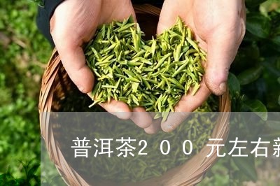 普洱茶200元左右新茶/2023110135282