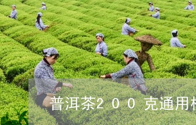 普洱茶200克通用棉纸/2023120710592