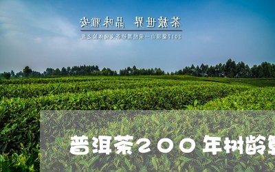 普洱茶200年树龄算古树吗/2023052946269